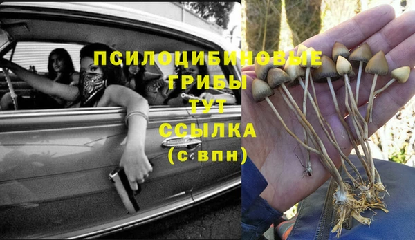первитин Балахна