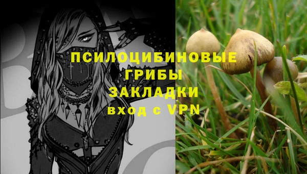 скорость Баксан