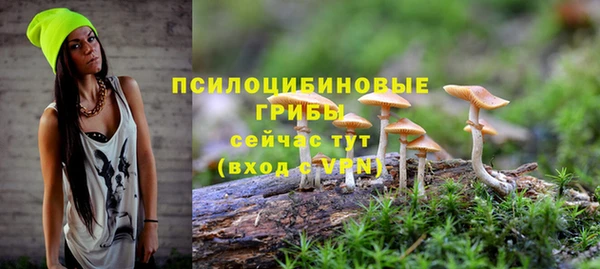 скорость Баксан