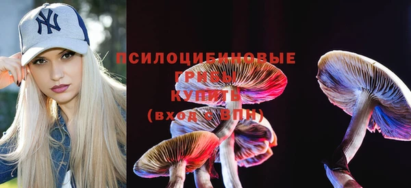 ешки Белоозёрский